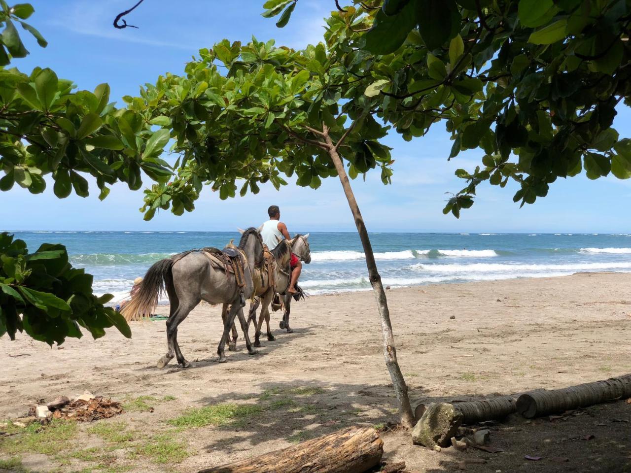 Macao Beach Sámara Exteriér fotografie