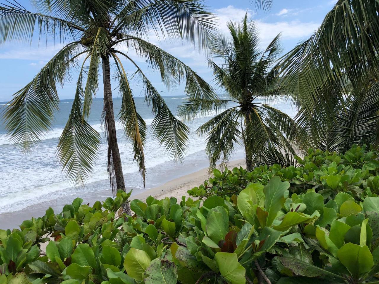 Macao Beach Sámara Exteriér fotografie